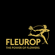 Blumenversand